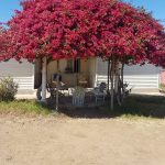 HALL Y TERRAZA