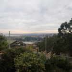VISTA DESDE EL PATIO